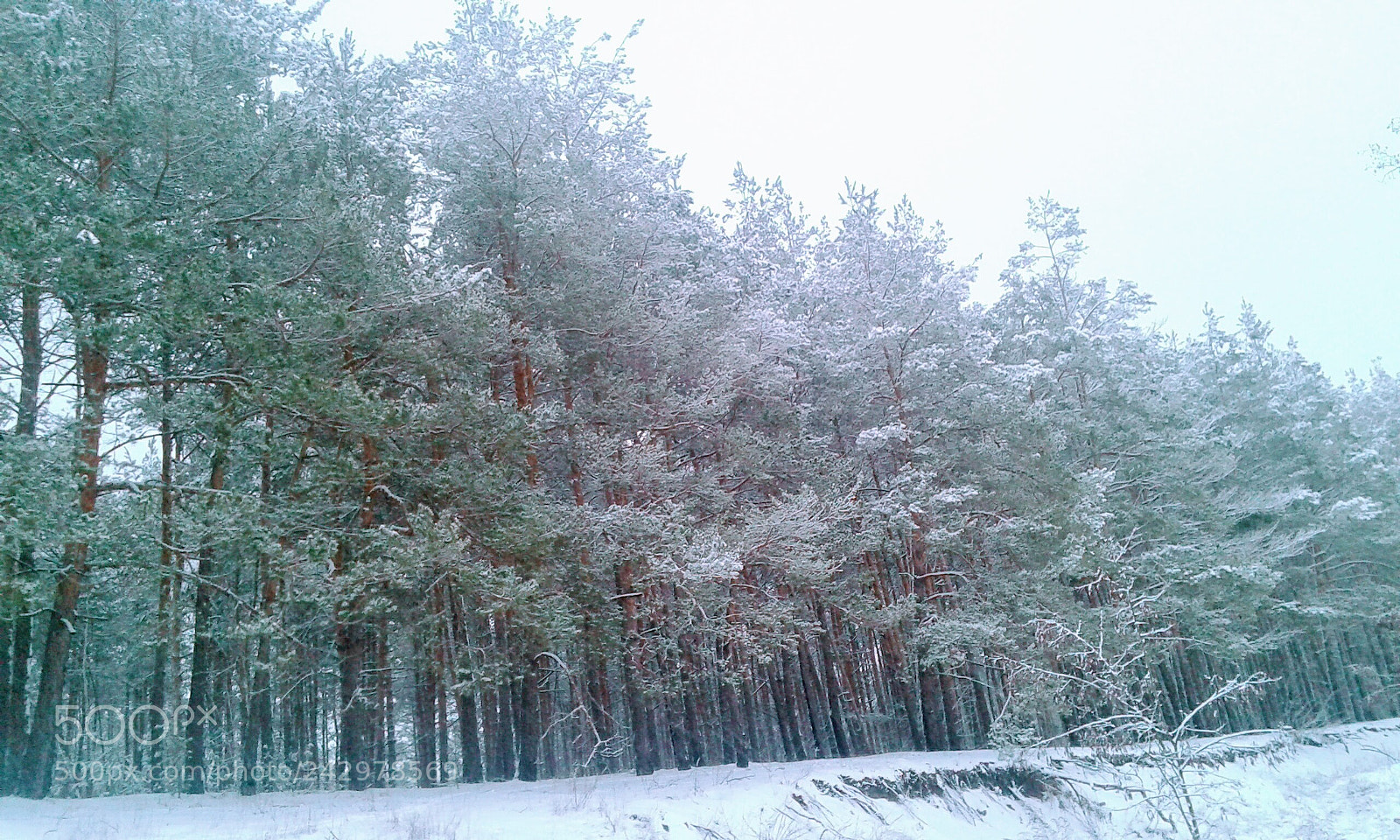 Samsung Galaxy Core Prime sample photo. Untitled photography