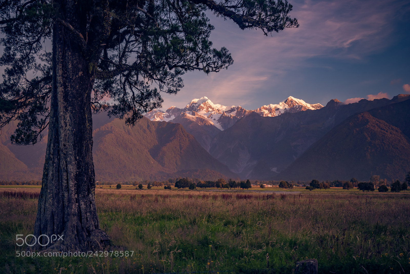 Pentax K-1 sample photo. Fox glacier from lake photography