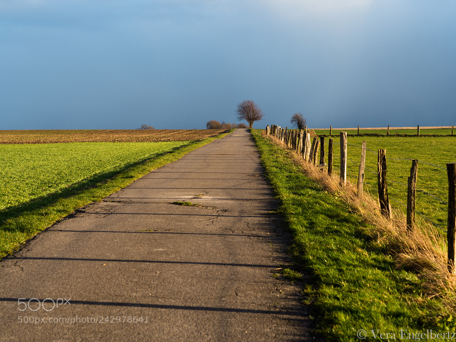 Olympus PEN-F sample photo. In the fields after photography