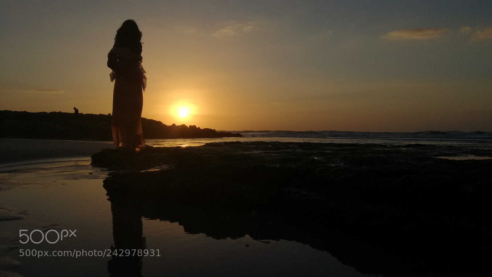 HUAWEI P9 LITE sample photo. Medusa of nature photography