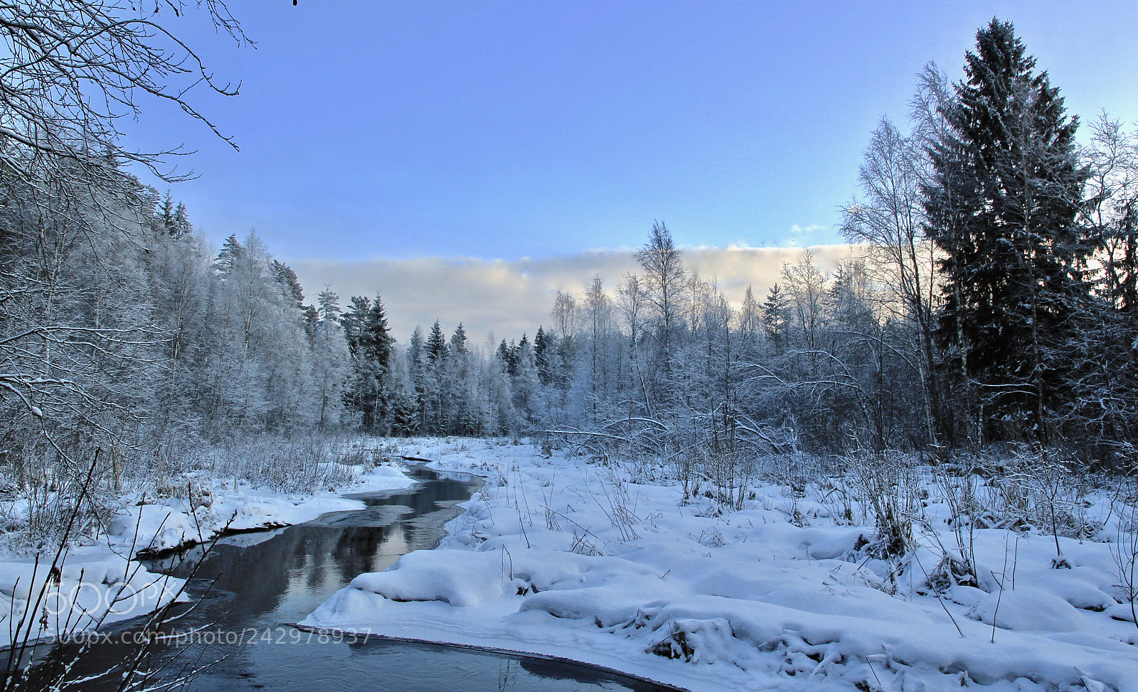 Canon EOS 550D (EOS Rebel T2i / EOS Kiss X4) sample photo. Forest creek photography