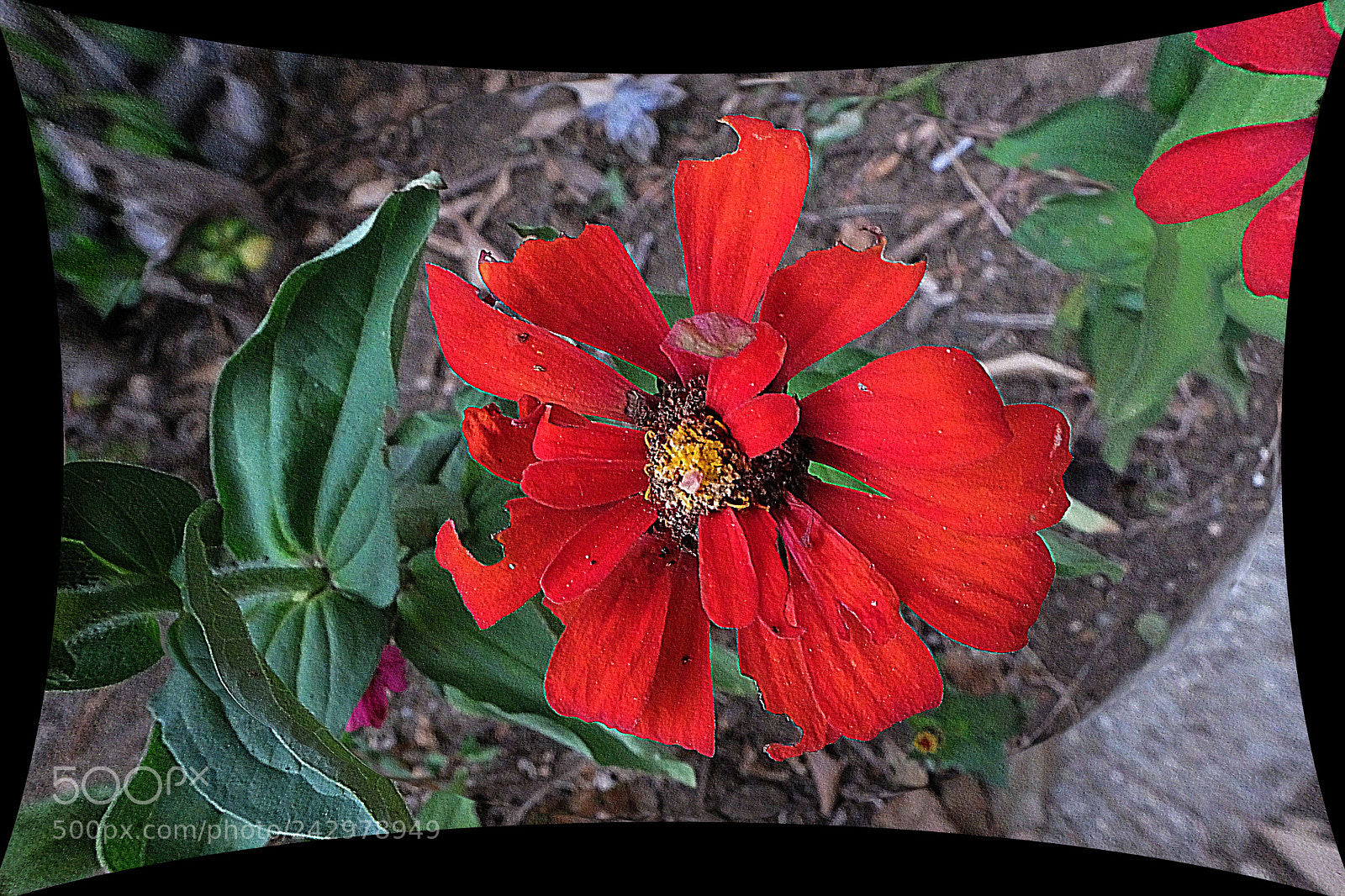 Fujifilm X20 sample photo. Copia photography