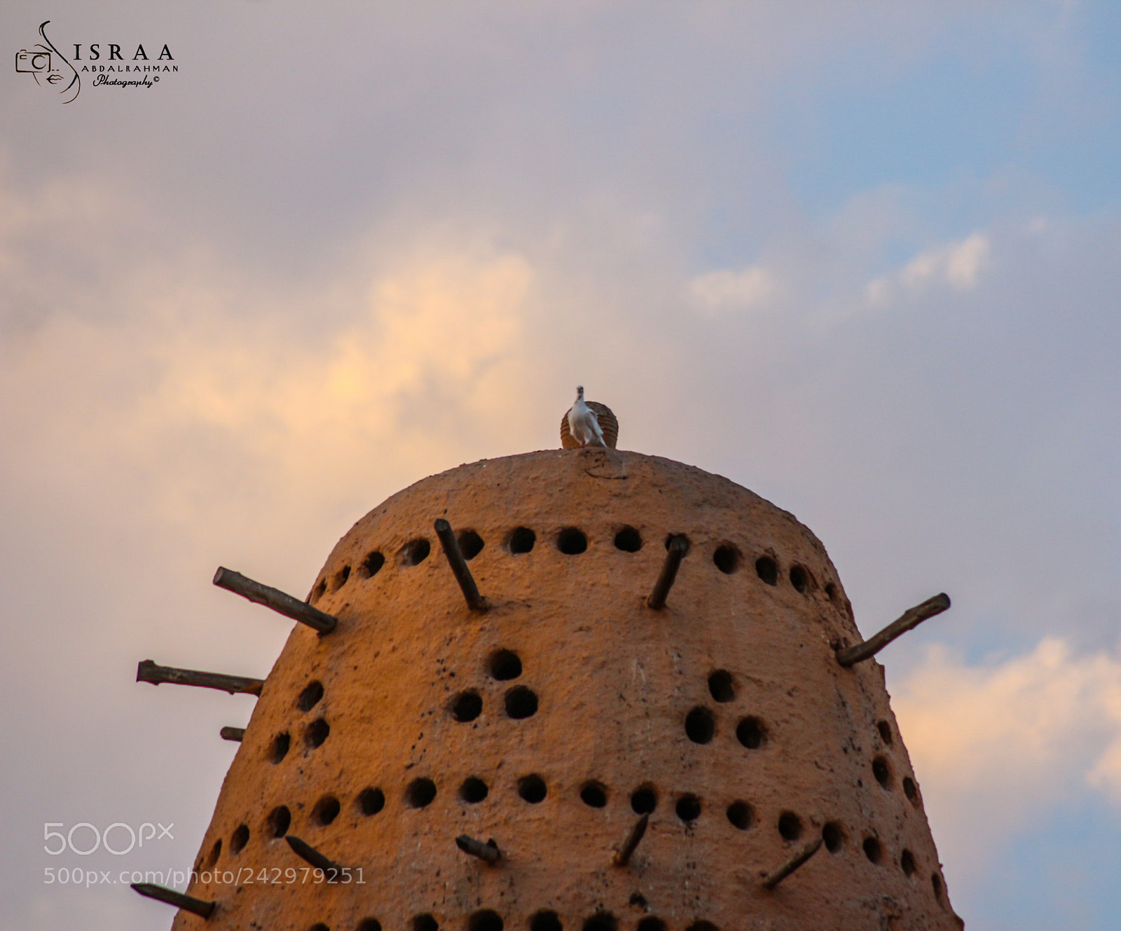 Canon EOS 650D (EOS Rebel T4i / EOS Kiss X6i) sample photo. Palace of the dove photography
