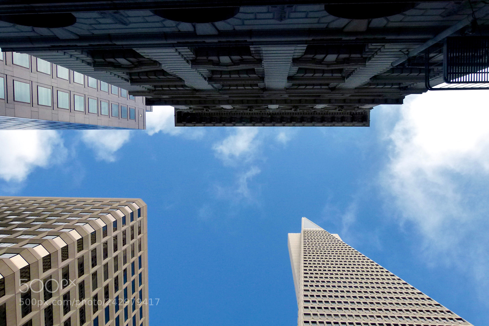 Panasonic Lumix DMC-FZ100 sample photo. San francisco transamerica pyramid photography
