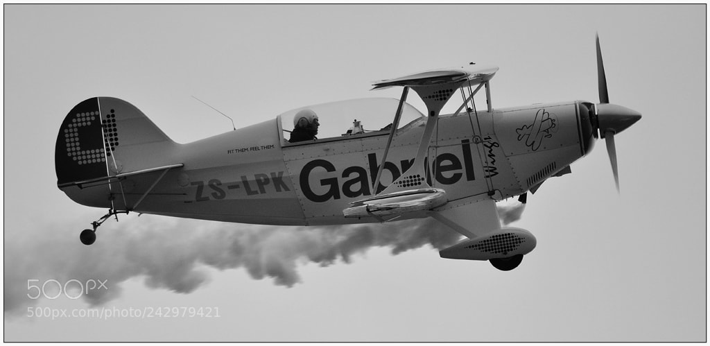 Nikon D90 sample photo. Bw pitts special photography
