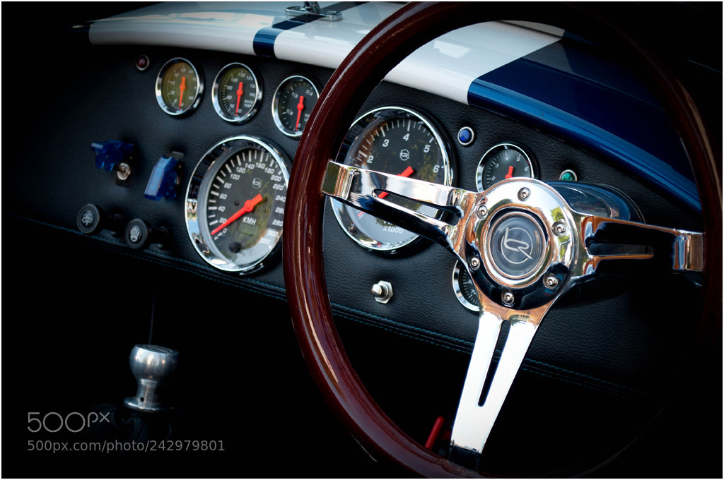 Nikon D90 sample photo. Chrome cobra photography