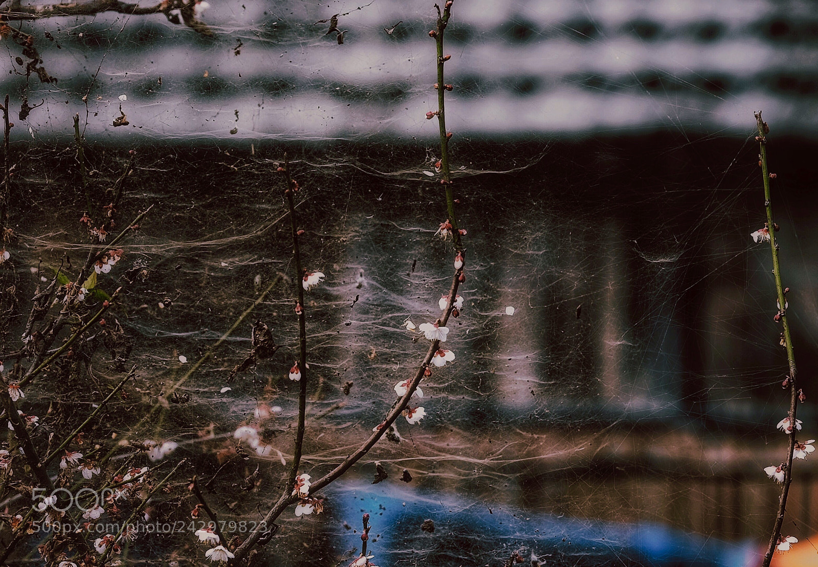 Fujifilm X-E2S sample photo. Untitled photography