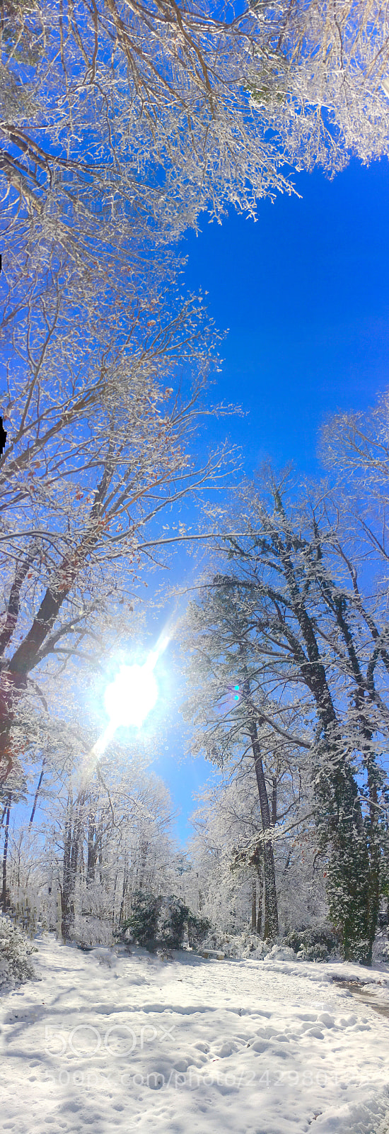 Apple iPhone 6s sample photo. A sunny snowy afternoon photography