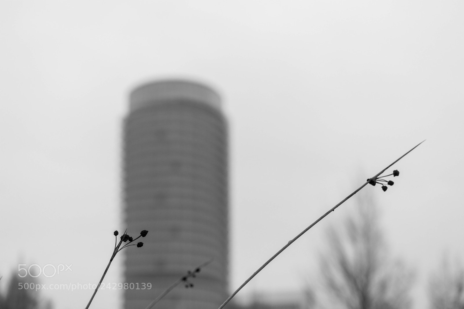 Nikon D3200 sample photo. Sadness photography
