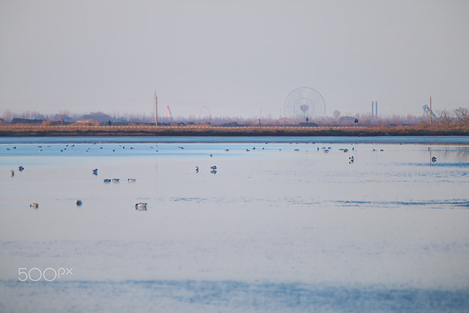 Tamron SP 35mm F1.8 Di VC USD sample photo. Antiche saline photography