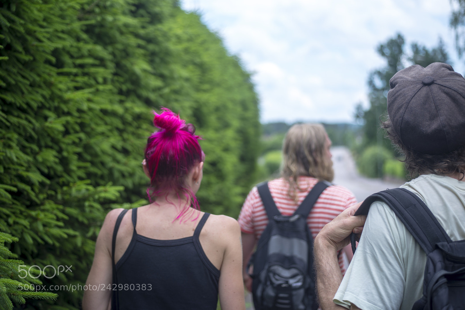 Nikon D600 sample photo. Backs photography