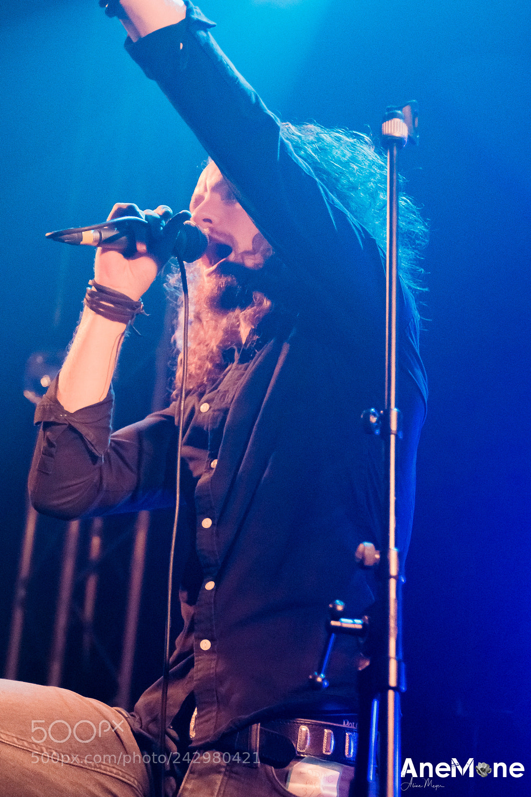 Canon EOS 60D sample photo. Raveneye photography