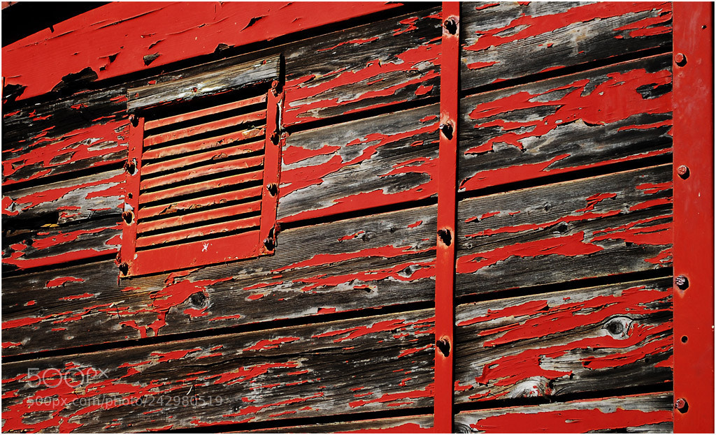 Nikon D200 sample photo. Red wood s photography