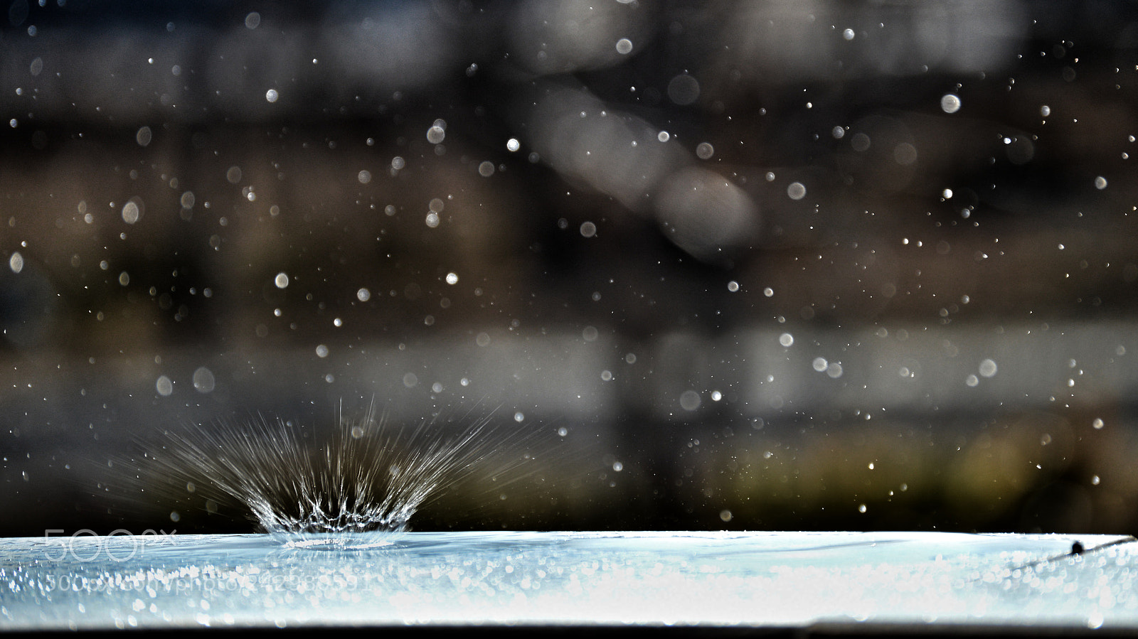 Nikon D3200 sample photo. Untitled photography