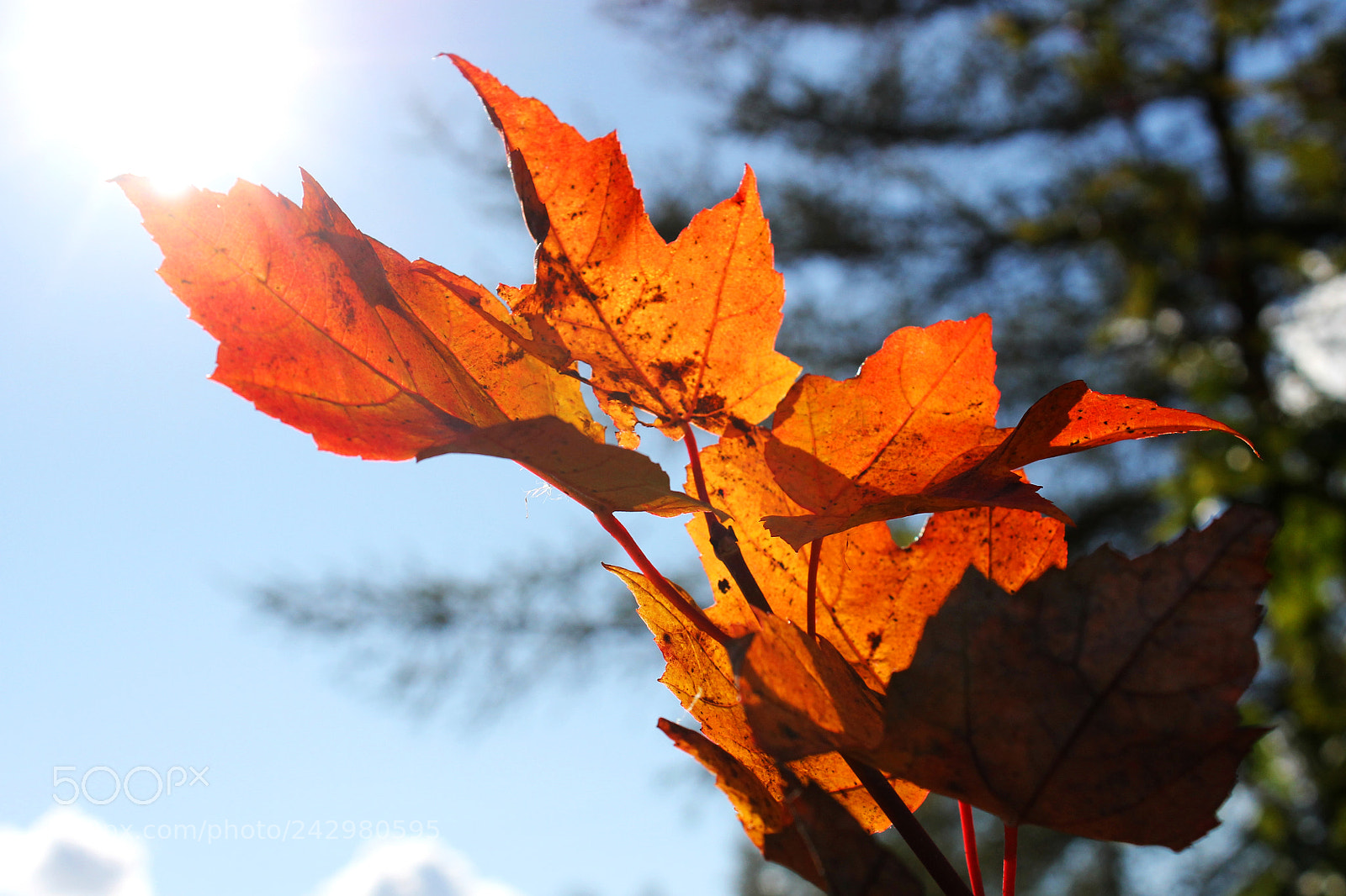 Canon EOS 1100D (EOS Rebel T3 / EOS Kiss X50) sample photo. Change of weather photography