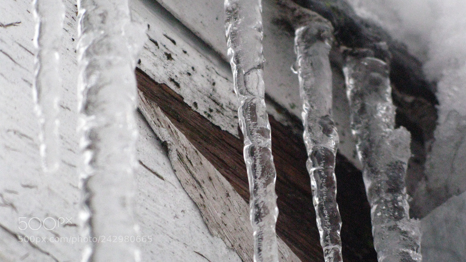 Canon POWERSHOT G9 sample photo. Img photography