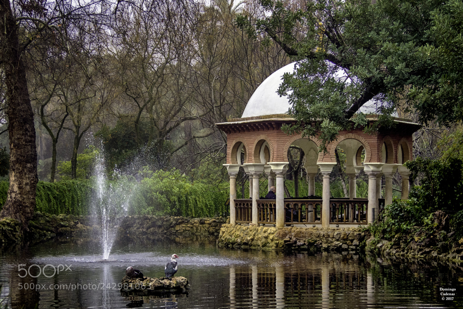 Olympus OM-D E-M10 II sample photo. El parque photography