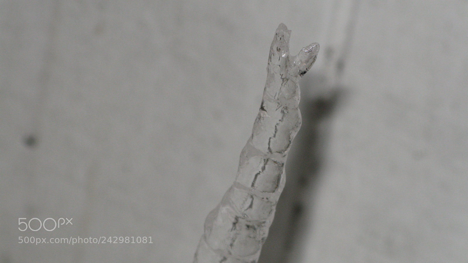 Canon POWERSHOT G9 sample photo. Img photography