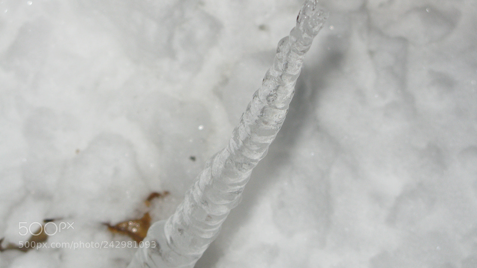 Canon POWERSHOT G9 sample photo. Img photography