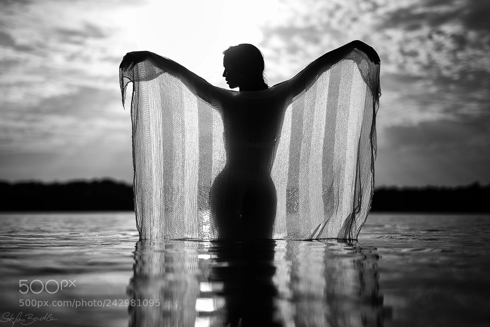 Canon EOS-1D X sample photo. The awakening photography
