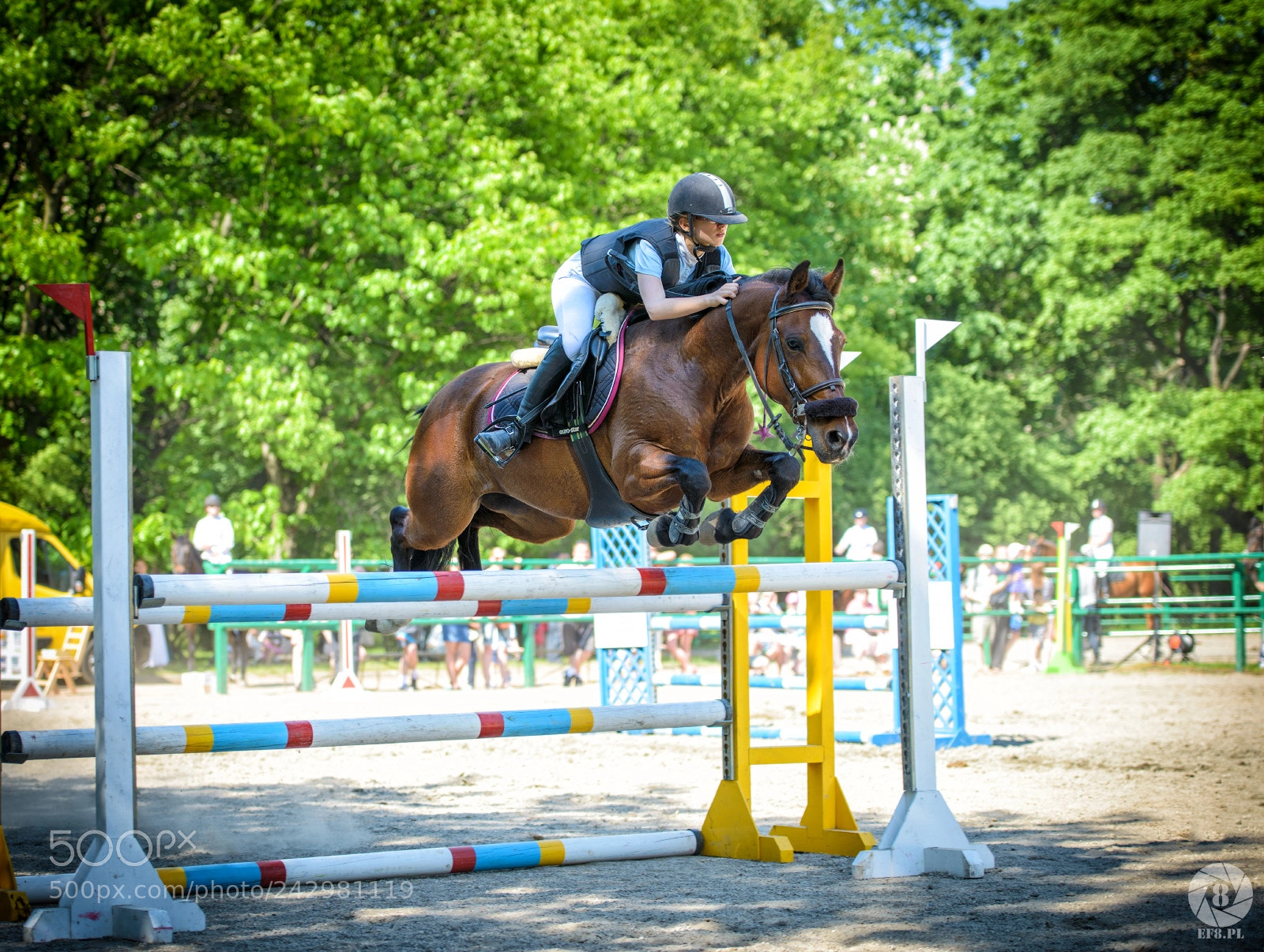 Nikon D800 sample photo. Almost like a pegasus photography