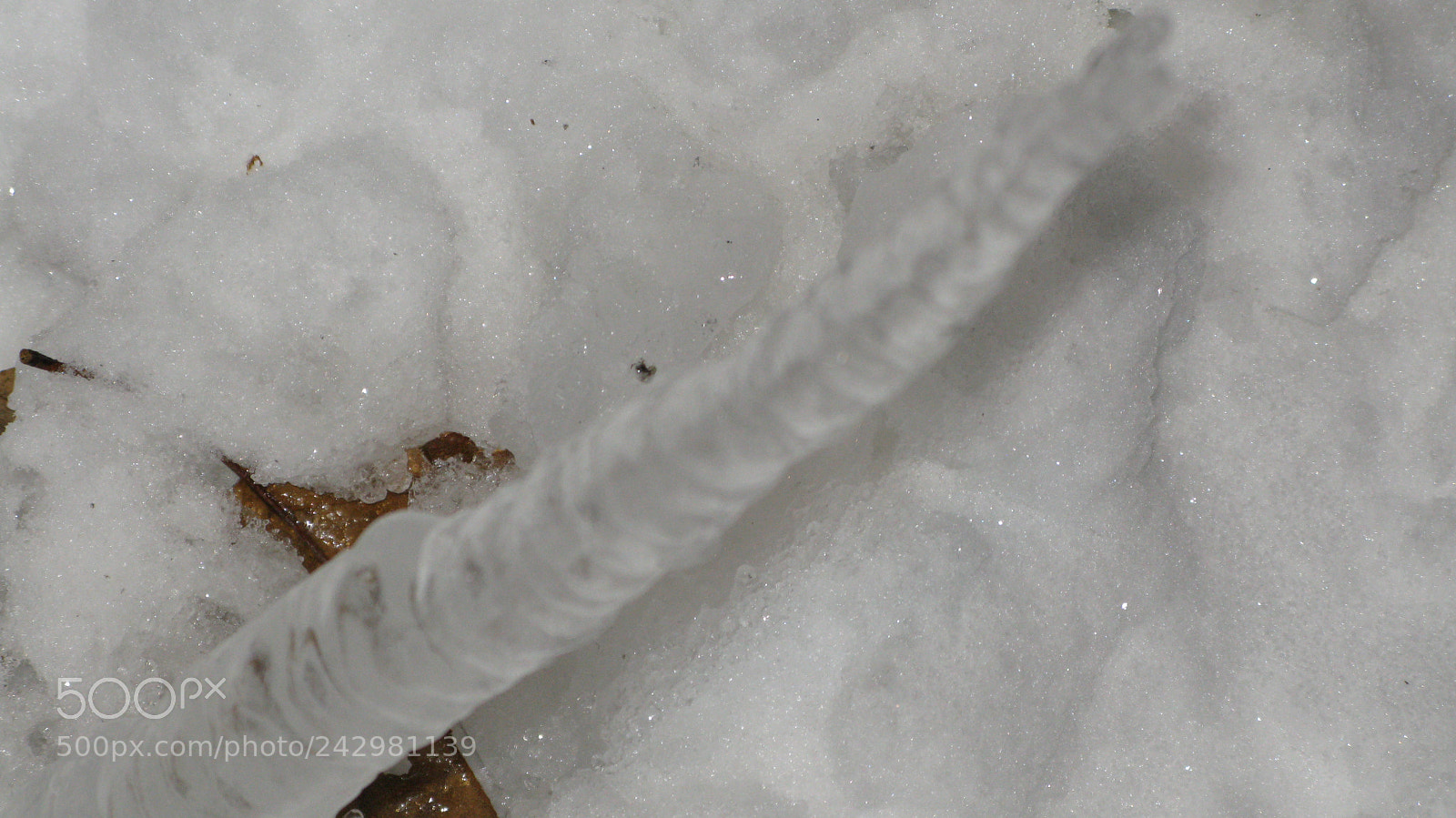 Canon POWERSHOT G9 sample photo. Img photography