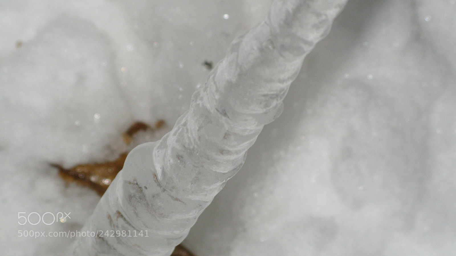 Canon POWERSHOT G9 sample photo. Img photography
