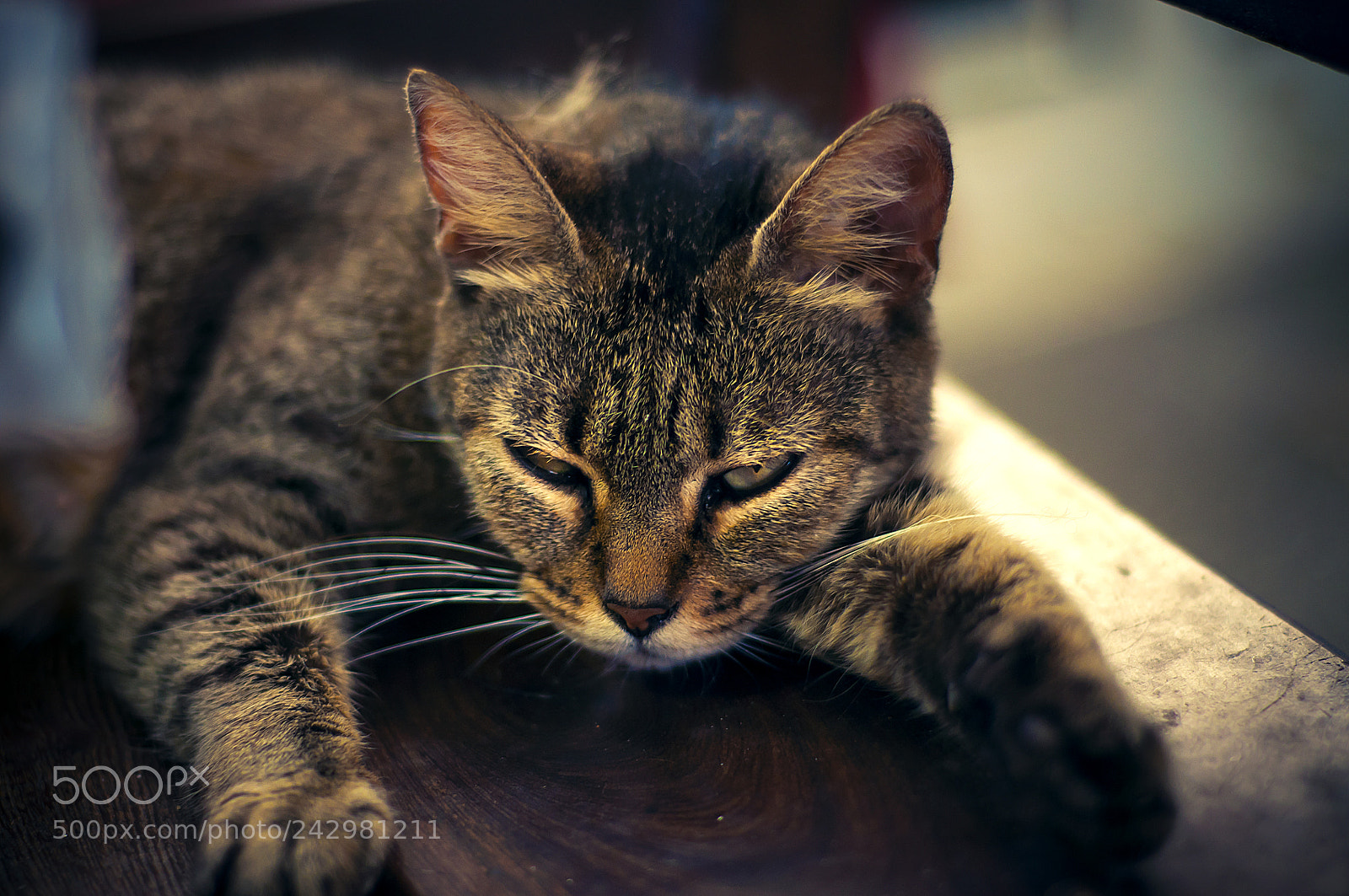 Nikon D90 sample photo. Ojona photography