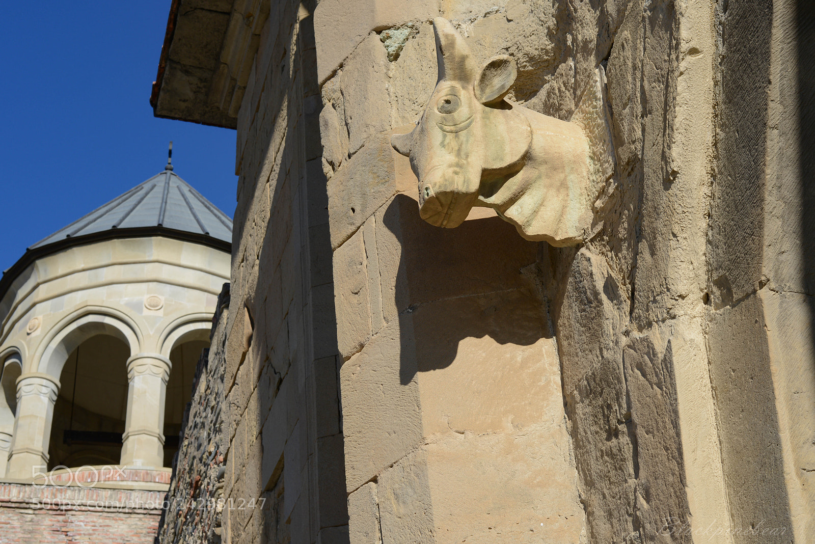 Nikon D800 sample photo. Ox photography