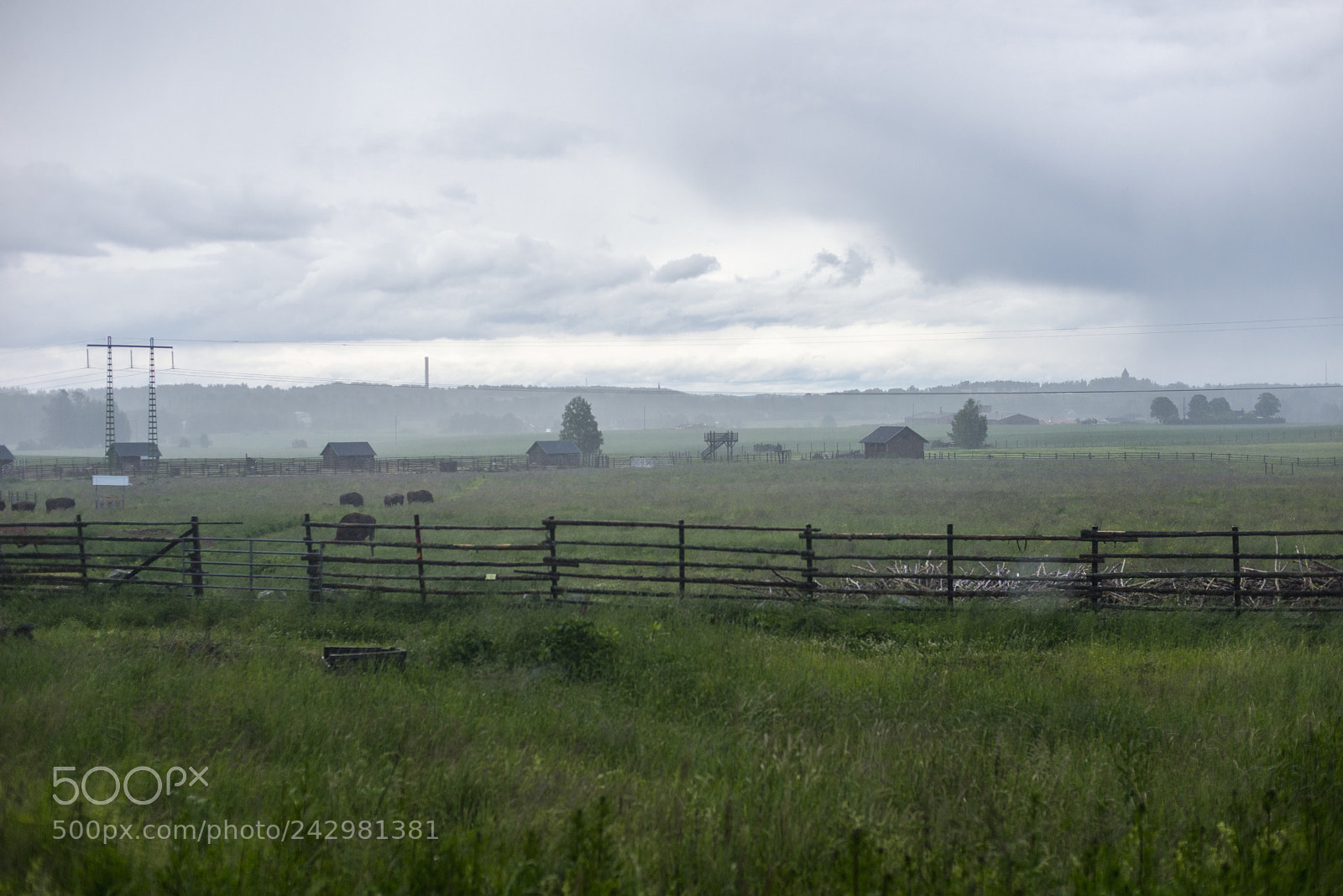Nikon D600 sample photo. When the rain came photography