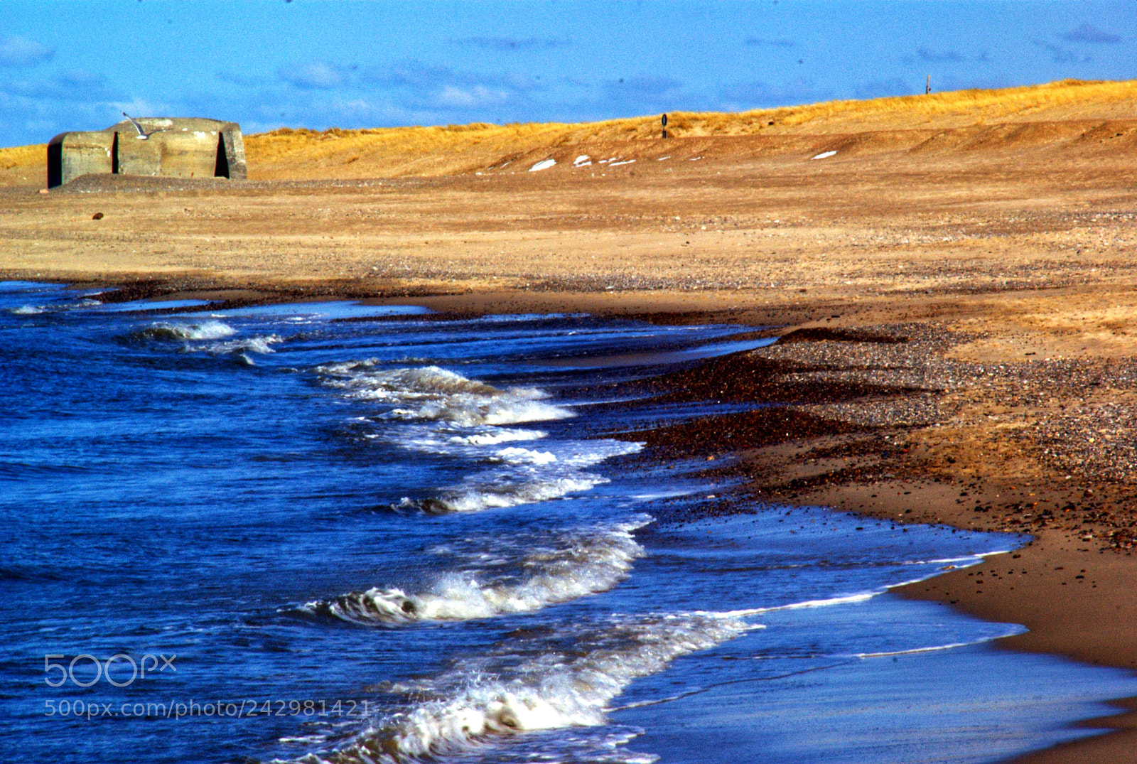 Sony Alpha DSLR-A200 sample photo. Winter beach photography