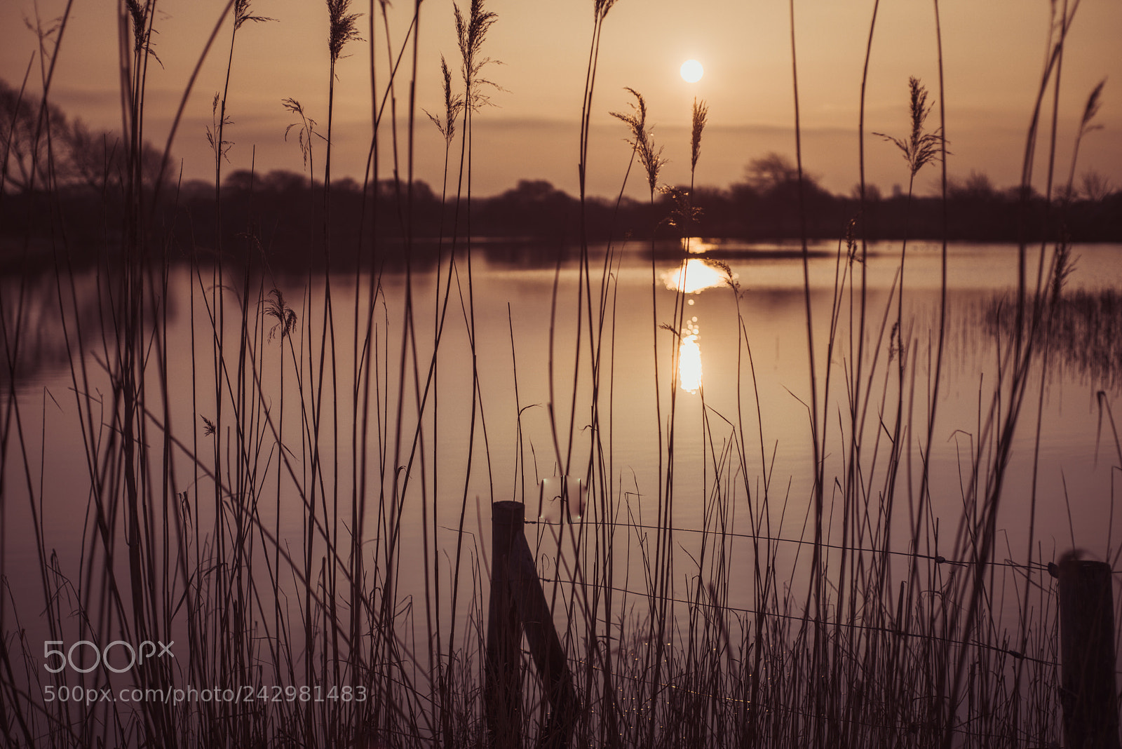 Nikon D800 sample photo. Sunset lake photography