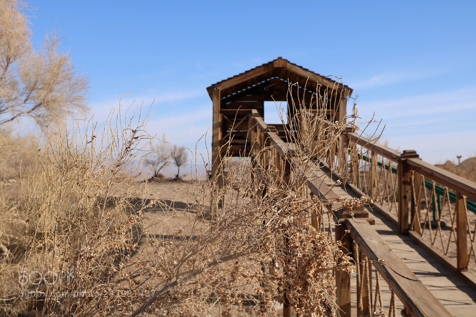 Canon EOS 750D (EOS Rebel T6i / EOS Kiss X8i) sample photo. Untitled photography