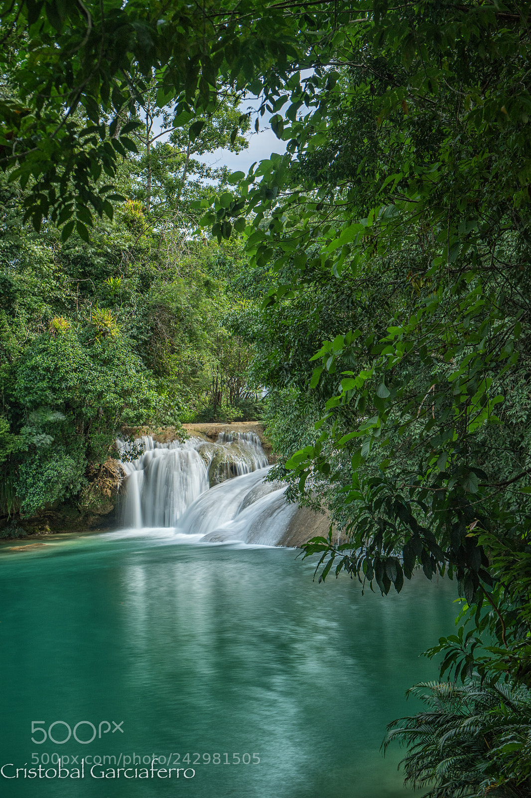 Nikon D5 sample photo. Waterfall in chiapas photography