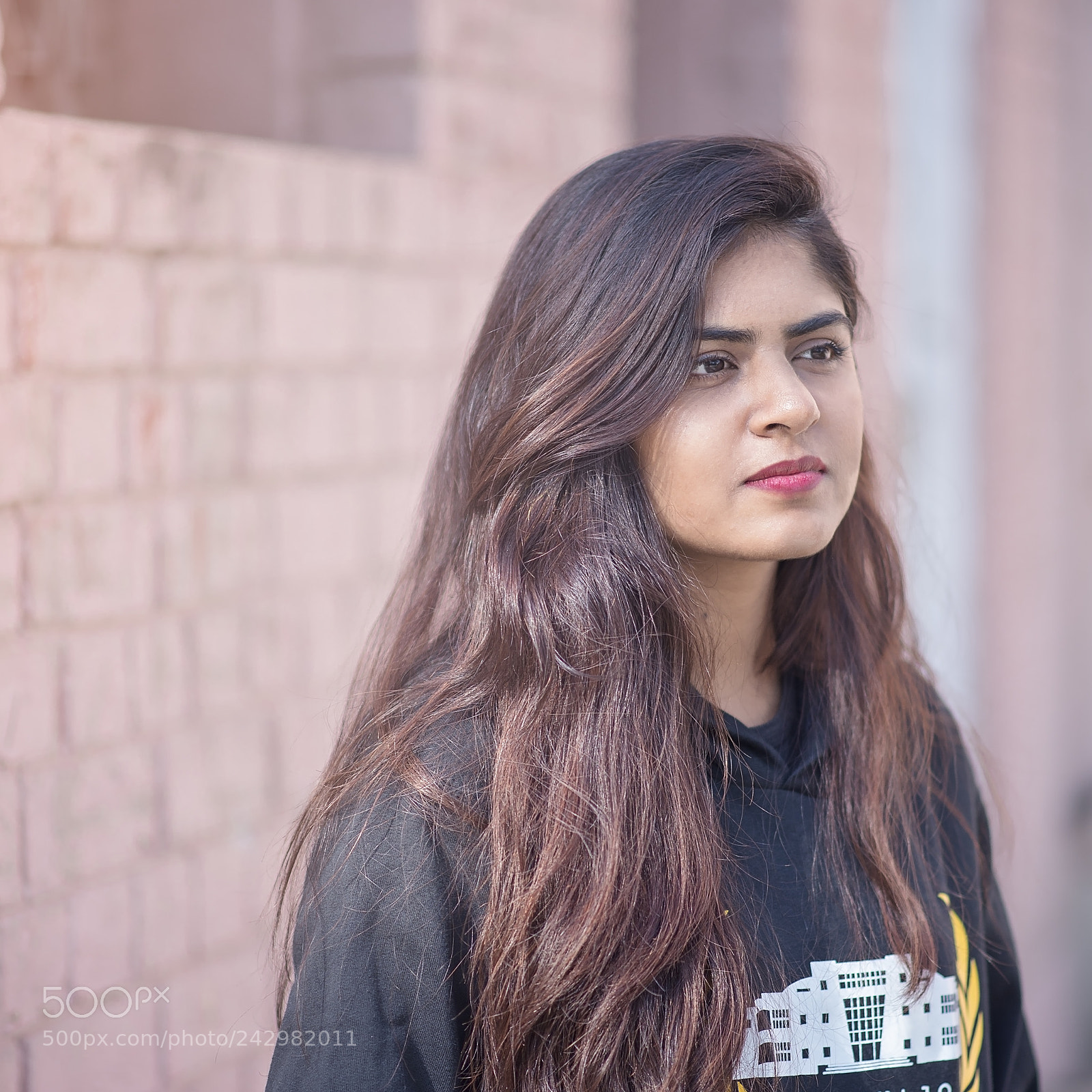 Nikon D610 sample photo. Brown friend photography