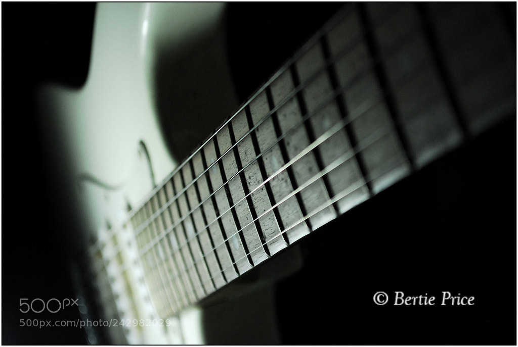 Nikon D200 sample photo. Electric guitar photography