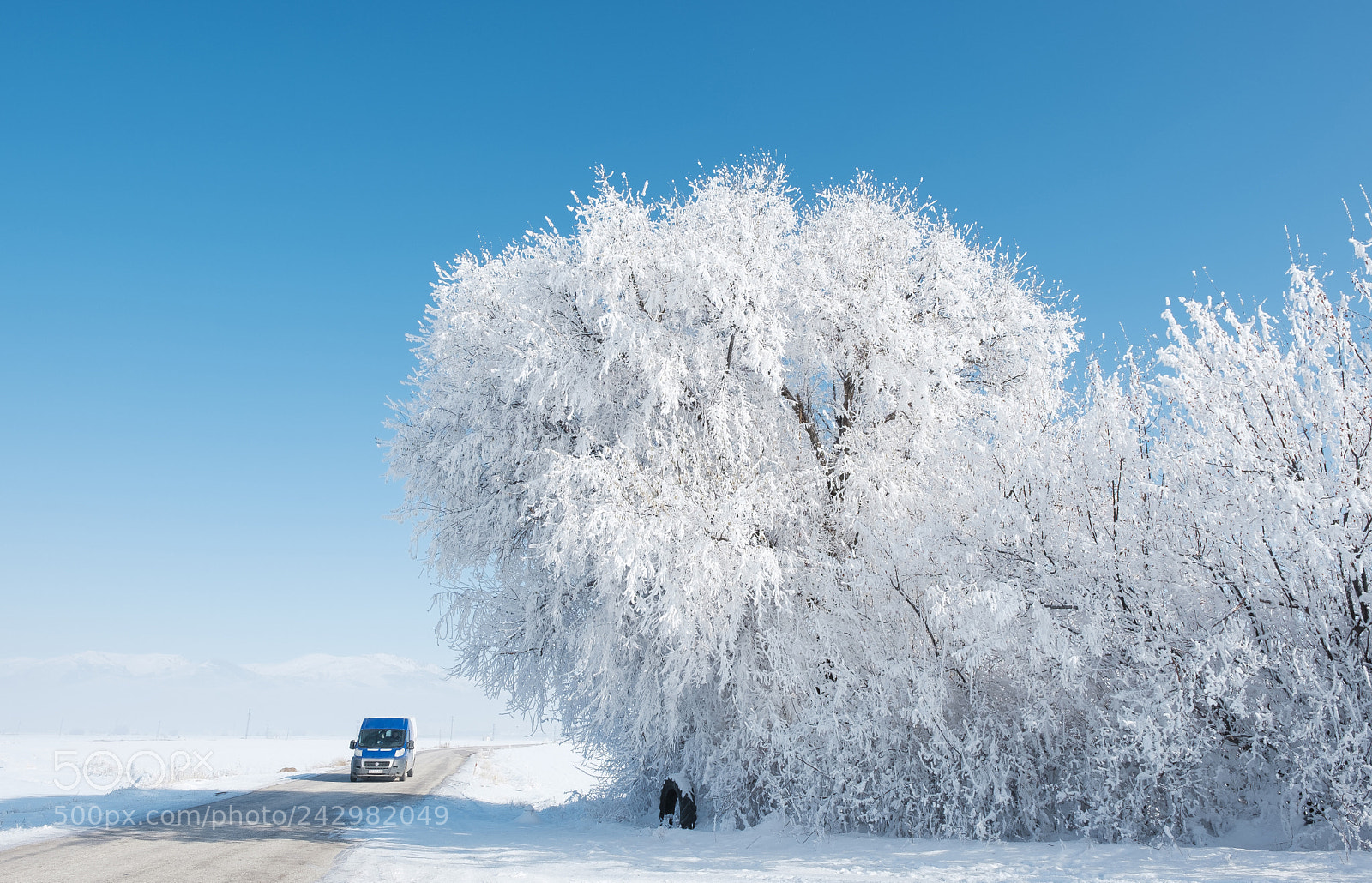 Fujifilm X-Pro2 sample photo. Winter photography
