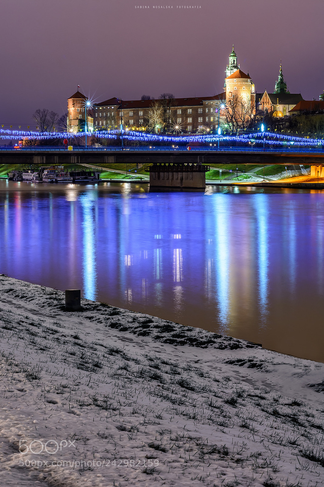Nikon D7100 sample photo. Wawel at night photography