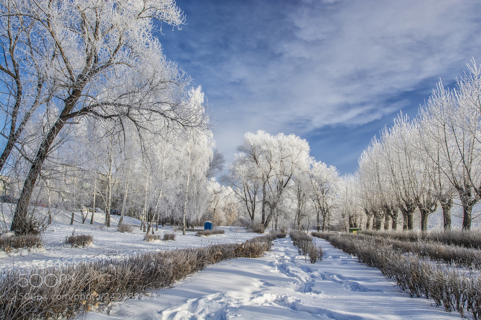 Nikon D7100 sample photo. Winter morning in the photography