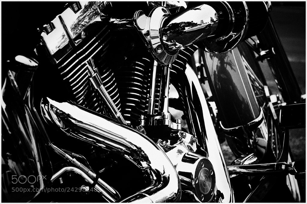Nikon D90 sample photo. Harley photography