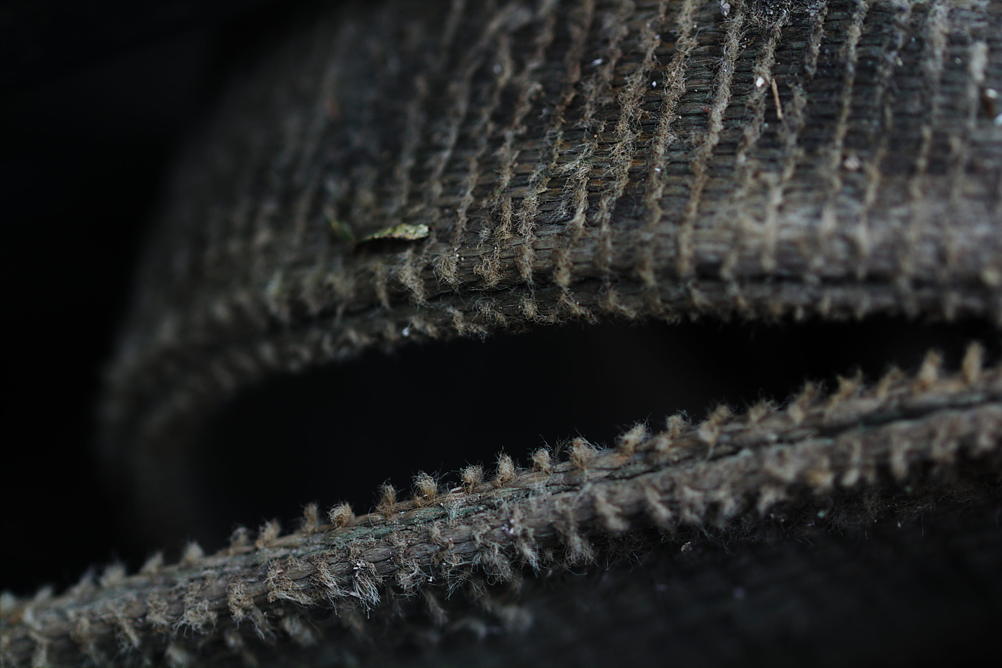 Canon EF 100mm F2.8L Macro IS USM sample photo. Vehicle in detailed desolation vi photography