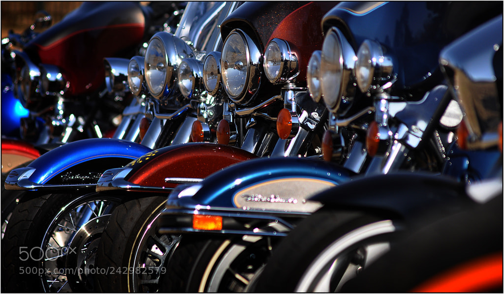 Nikon D90 sample photo. Harley heaven photography