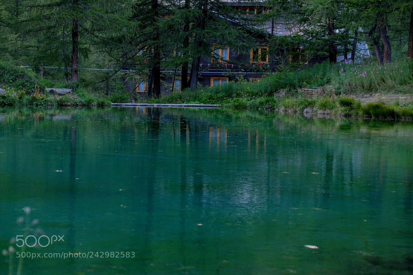 Fujifilm X-T1 sample photo. Untitled photography