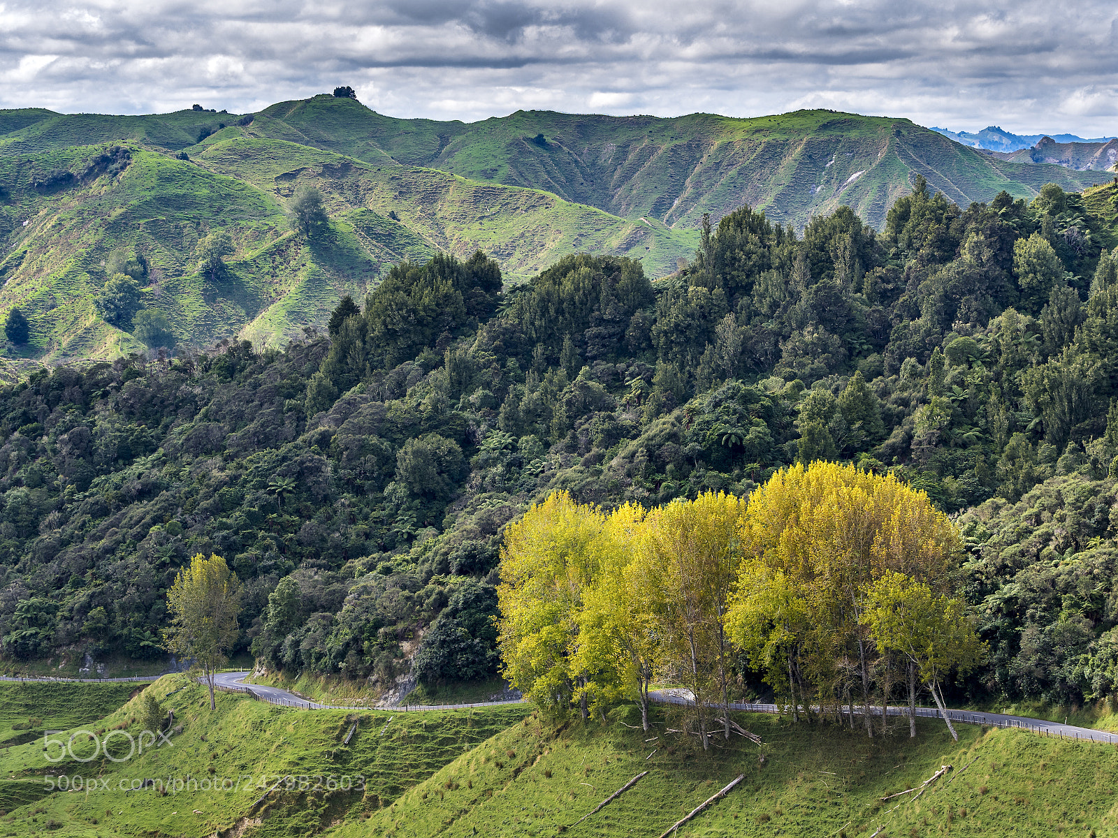 Olympus OM-D E-M1 Mark II sample photo. Forgotten world highway photography
