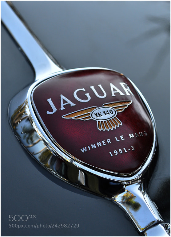 Nikon D90 sample photo. Jaguar photography