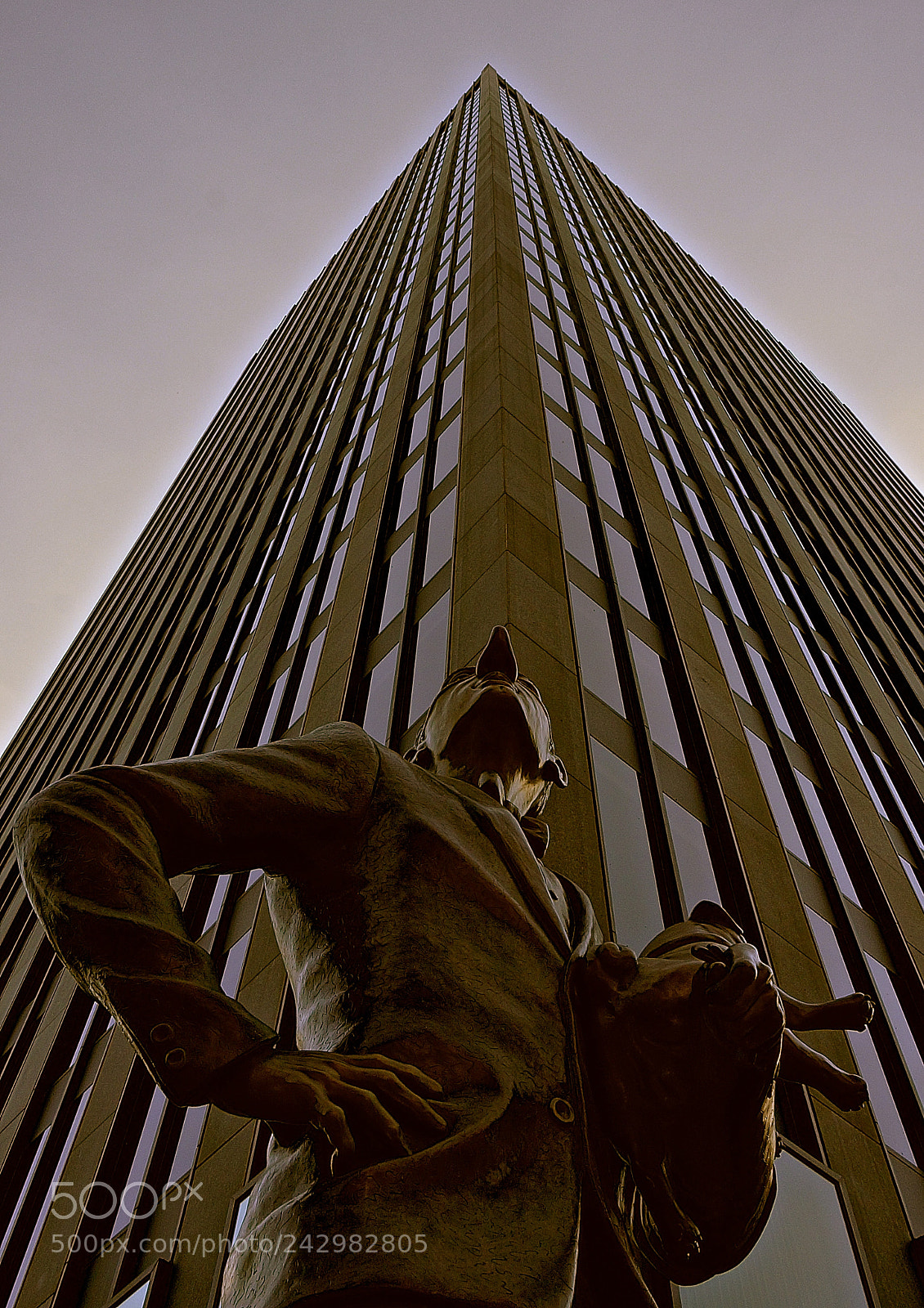 Sony Alpha NEX-3N sample photo. Montreal long nose photography