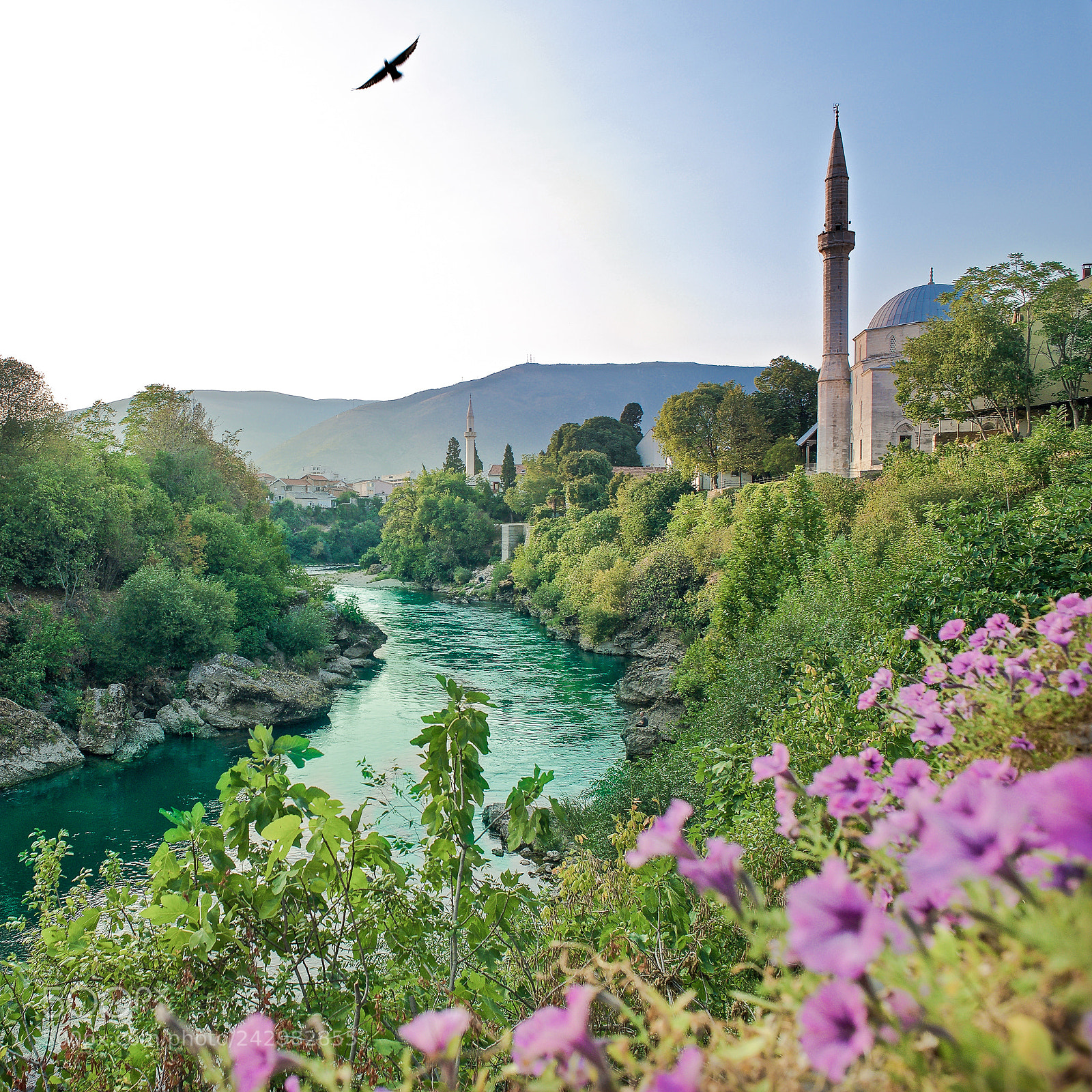 Nikon D800 sample photo. River neretva in mostar photography