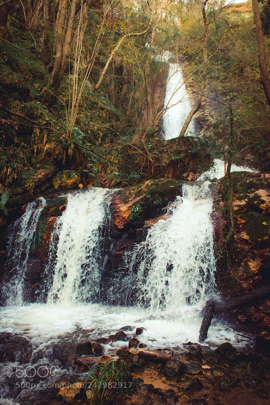 Nikon D610 sample photo. Cascada del guanga photography