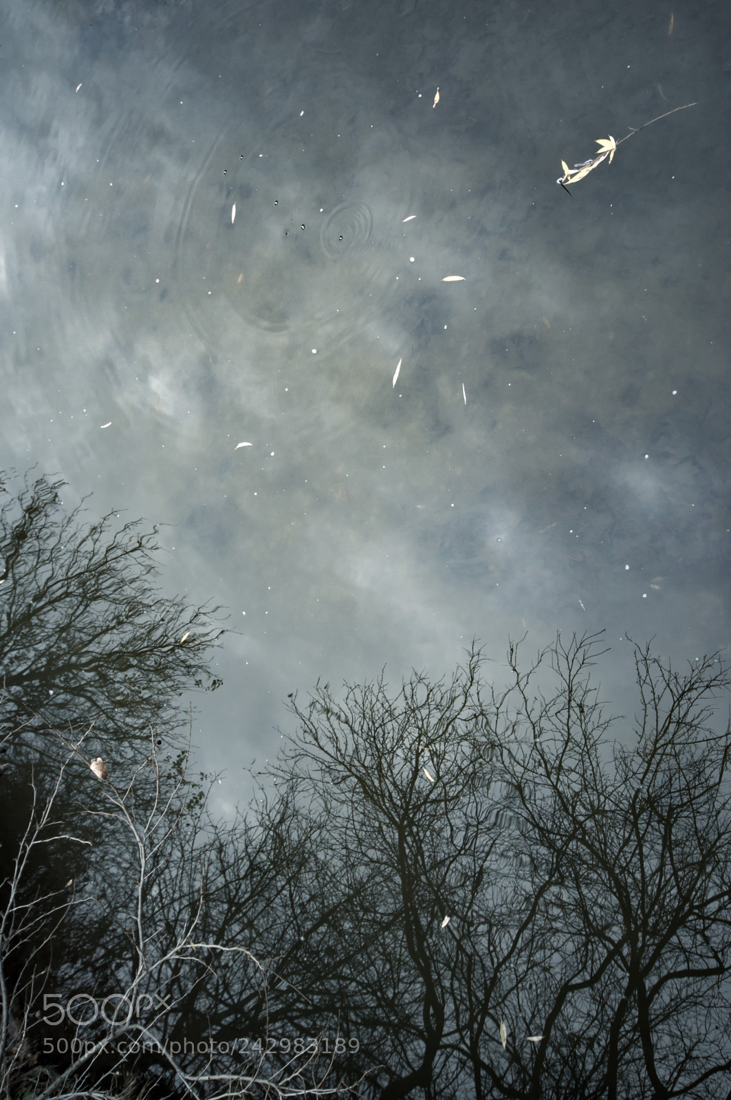 Sony SLT-A57 sample photo. Water sky photography