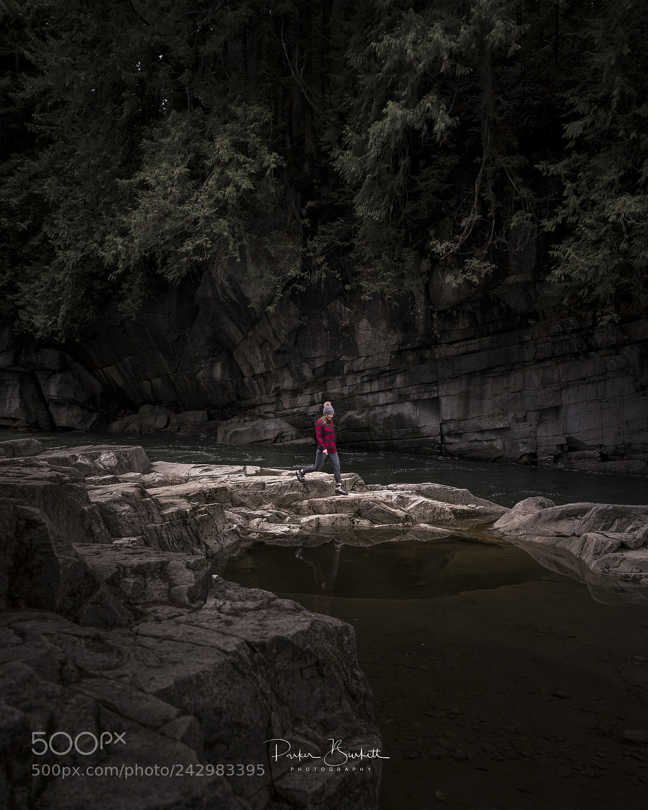 Canon EOS-1D X Mark II sample photo. Washingtones.... the forests and photography